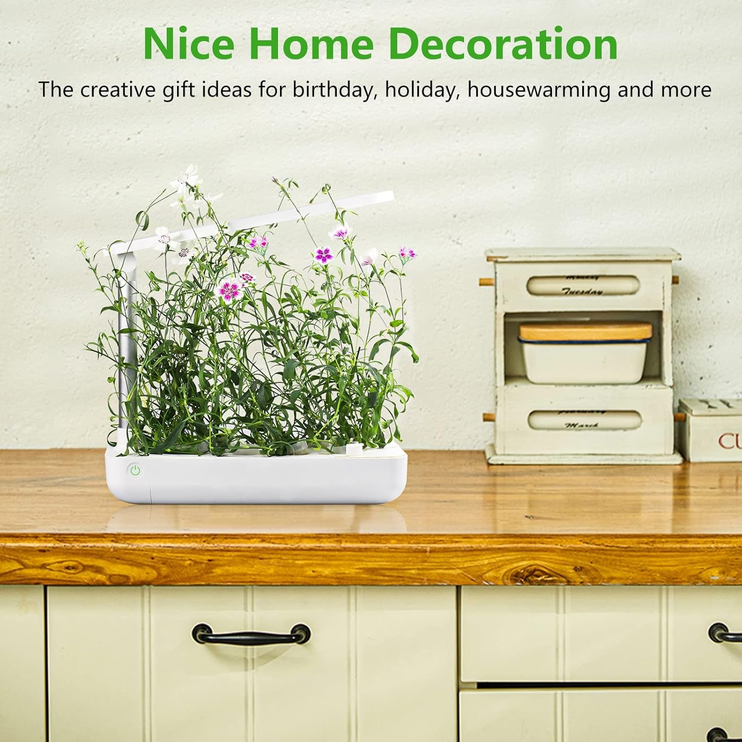 Hydroponics Growing System - Indoor Herb Garden, Smart Garden Starter Kit with LED Grow Lights for Home Kitchen, Plant Germination Kits (9 Pods, White)