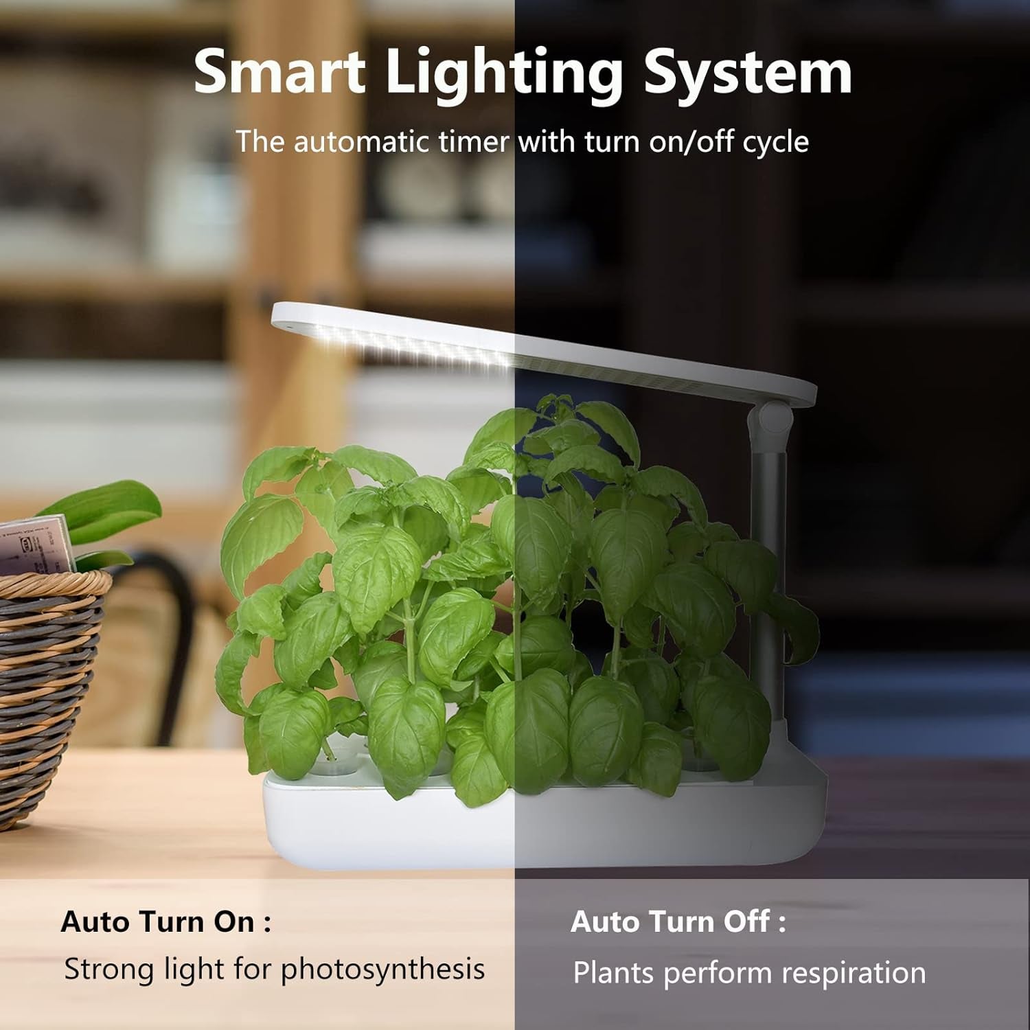 Hydroponics Growing System - Indoor Herb Garden, Smart Garden Starter Kit with LED Grow Lights for Home Kitchen, Plant Germination Kits (9 Pods, White)