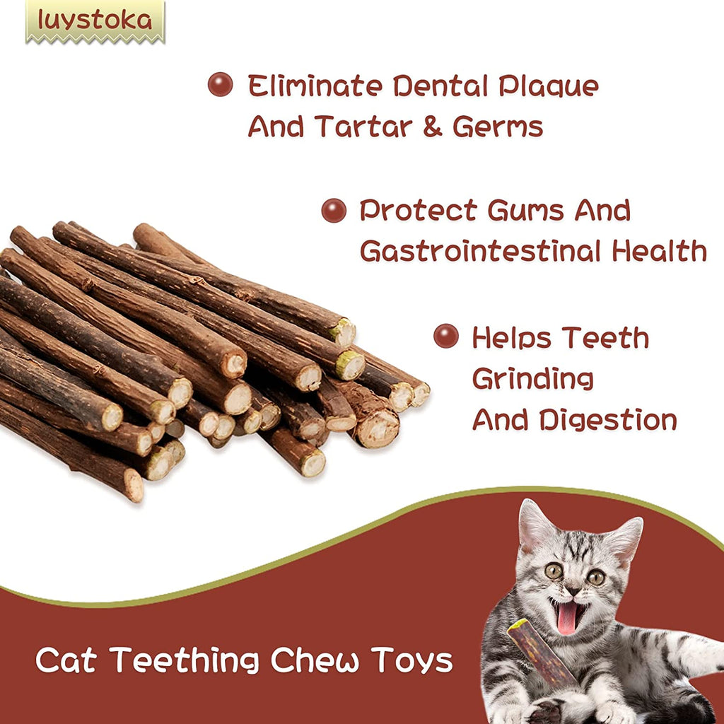 Cat Toys - Silvervine & Matatabi Catnip Toys, 10PCS Indoor Kitty Chew Sticks & Wand Toys for Bored Cats