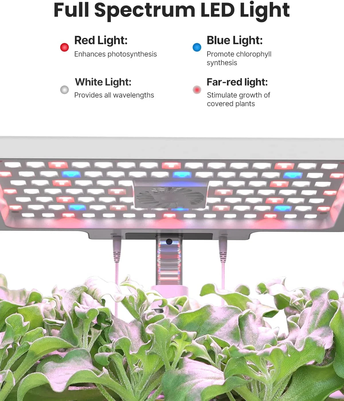 Wifi 12 Pods Hydroponic Growing System, Smart Indoor Herb Garden, Plants Germination Kit
