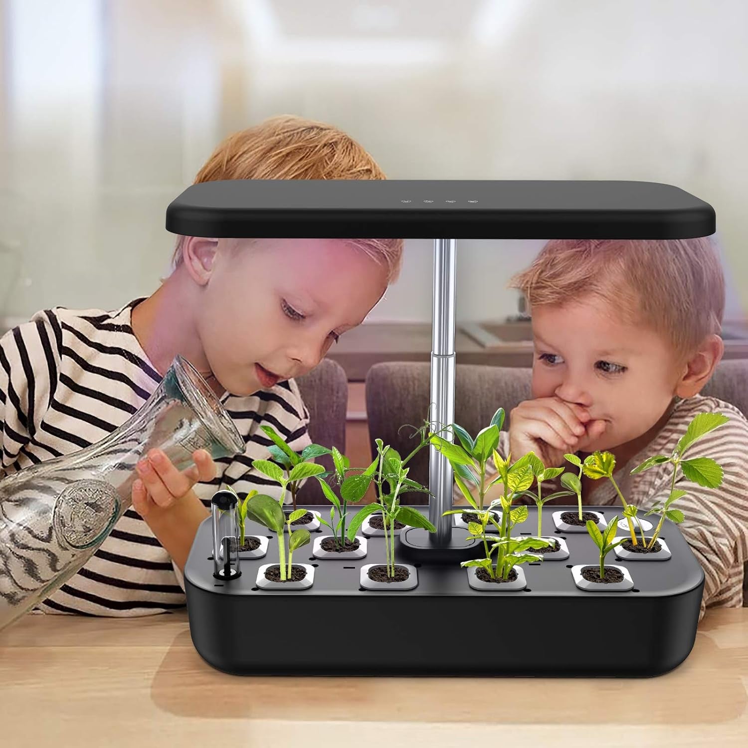 Hydroponics Growing System 12 Pods Indoor Garden, Smart Herb Garden Kit with 36W Grow Light for Plant Growing Gardening Gifts for Women Mom