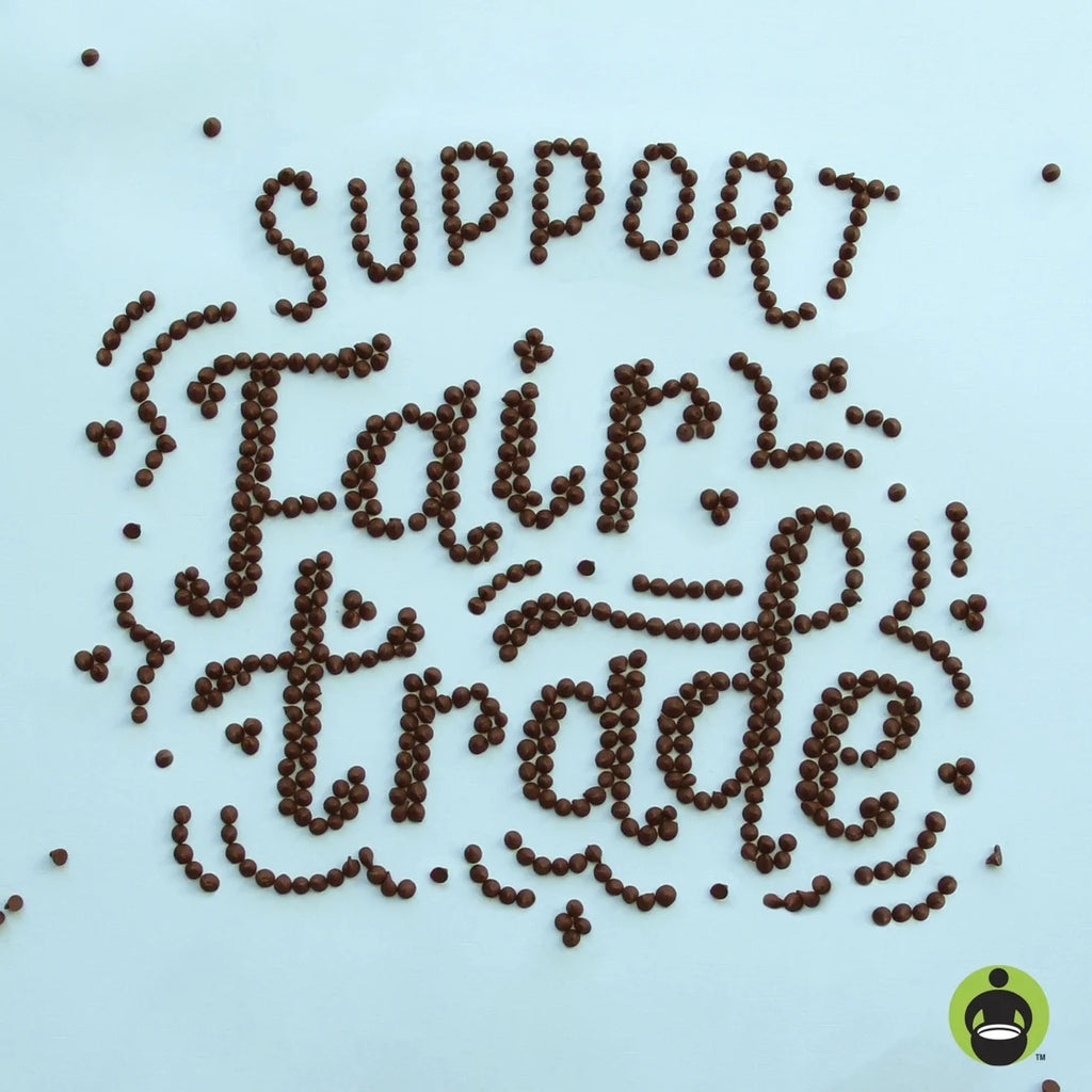 (6 Pack)  Peanut Butter Chocolate Chip Bars, Gluten Free and Vegan, 19.2 Oz, 12 Count